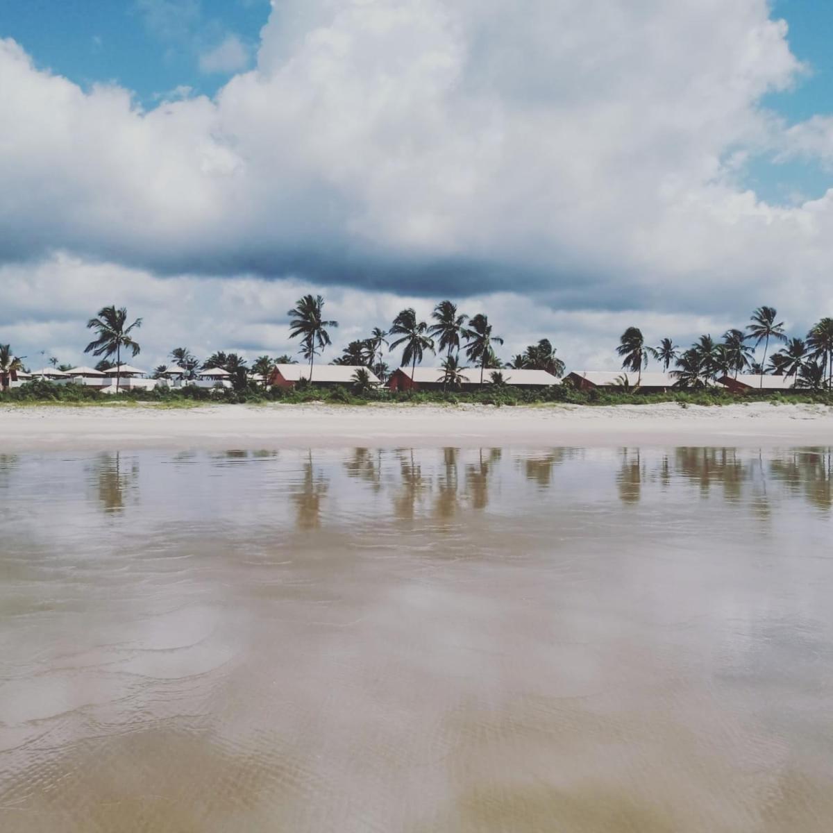 Lindo Apto Em Frente Ao Mar - - Itacaré Ba Apartamento