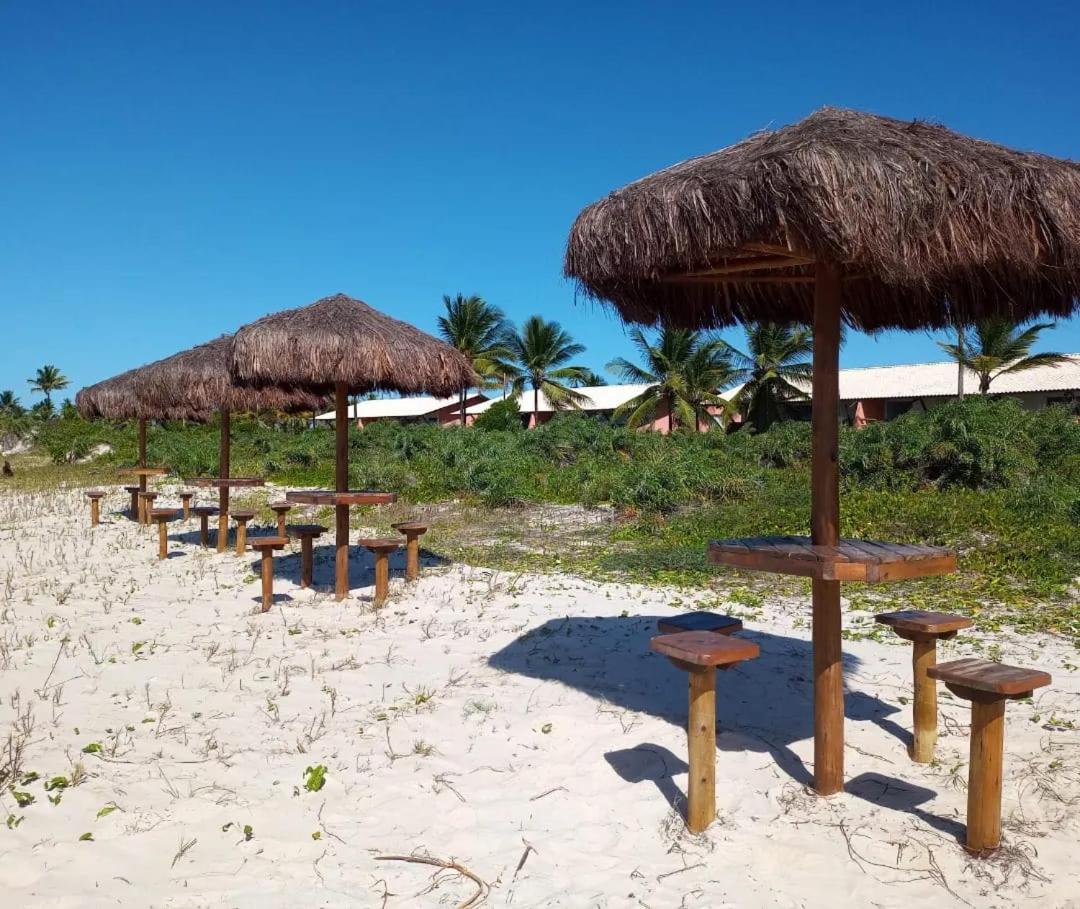 Lindo Apto Em Frente Ao Mar - - Itacare Ba
